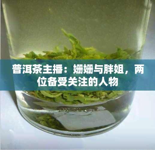 普洱茶主播：姗姗与胖姐，两位备受关注的人物