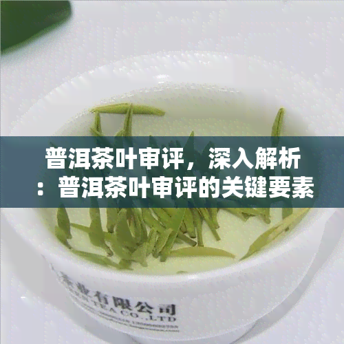 普洱茶叶审评，深入解析：普洱茶叶审评的关键要素与流程