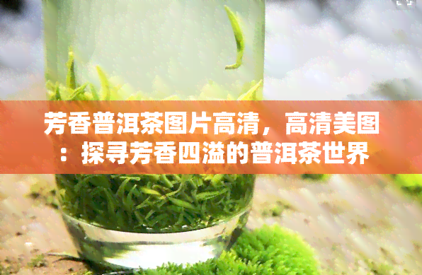 芳香普洱茶图片高清，高清美图：探寻芳香四溢的普洱茶世界