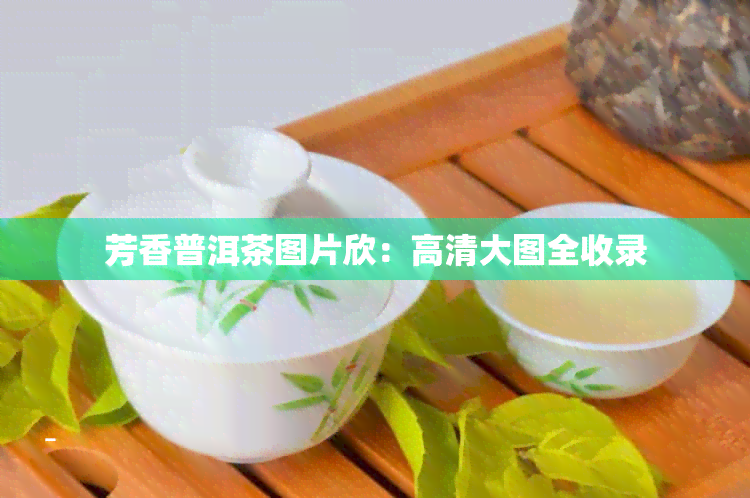 芳香普洱茶图片欣：高清大图全收录