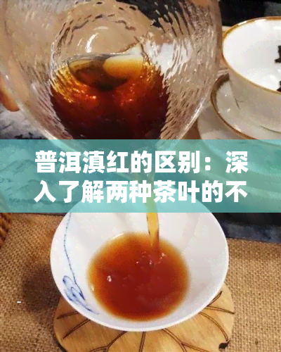 普洱滇红的区别：深入了解两种茶叶的不同之处