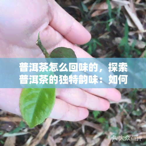 普洱茶怎么回味的，探索普洱茶的独特韵味：如何品鉴其丰富的口感和回味