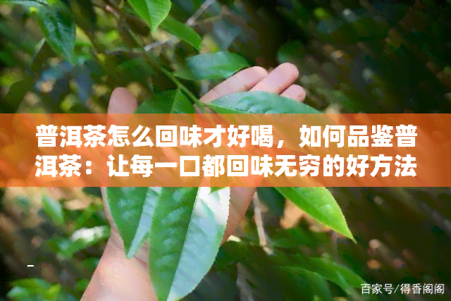 普洱茶怎么回味才好喝，如何品鉴普洱茶：让每一口都回味无穷的好方法