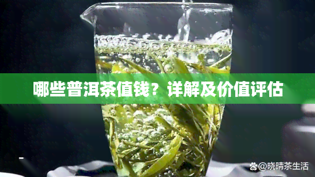 哪些普洱茶值钱？详解及价值评估