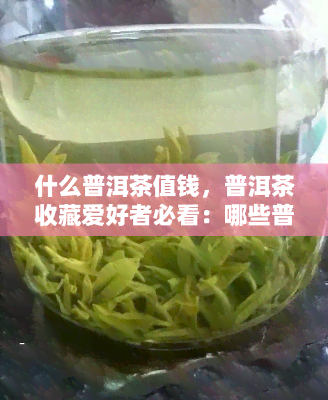 什么普洱茶值钱，普洱茶收藏爱好者必看：哪些普洱茶品种最值得投资？