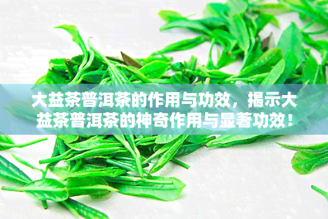 大益茶普洱茶的作用与功效，揭示大益茶普洱茶的神奇作用与显著功效！