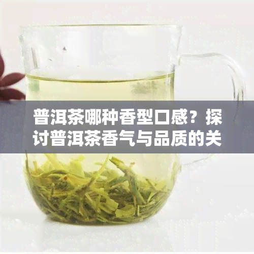 普洱茶哪种香型口感？探讨普洱茶香气与品质的关系