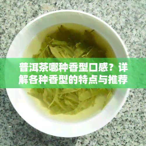 普洱茶哪种香型口感？详解各种香型的特点与推荐