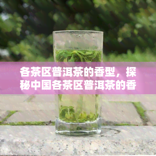 各茶区普洱茶的香型，探秘中国各茶区普洱茶的香型特点