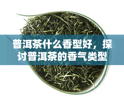 普洱茶什么香型好，探讨普洱茶的香气类型：哪种香型？