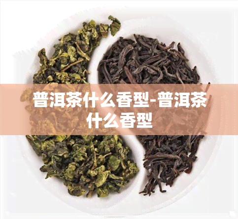 普洱茶什么香型-普洱茶什么香型