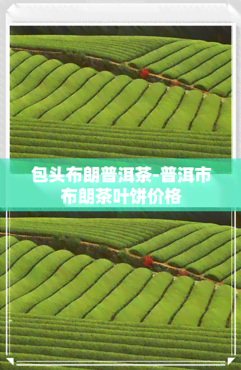 包头布朗普洱茶-普洱市布朗茶叶饼价格