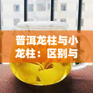 普洱龙柱与小龙柱：区别与选择