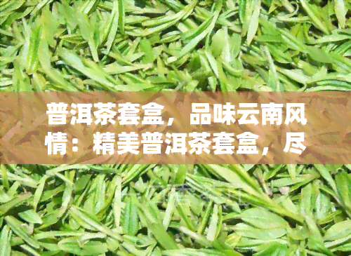 普洱茶套盒，品味云南风情：精美普洱茶套盒，尽享茶叶艺术的魅力！