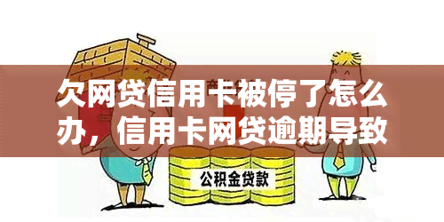 欠网贷信用卡被停了怎么办，信用卡网贷逾期导致账户冻结，如何解冻并恢复正常使用？