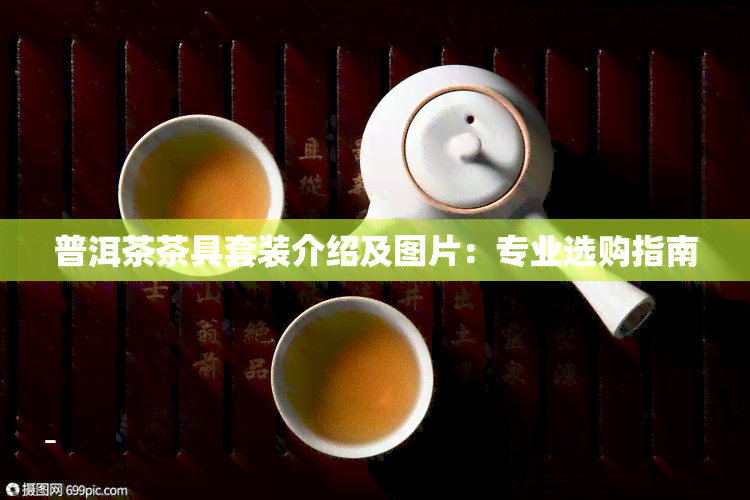 普洱茶茶具套装介绍及图片：专业选购指南