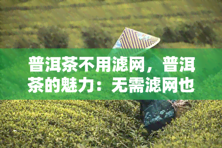 普洱茶不用滤网，普洱茶的魅力：无需滤网也能品尝出独特的口感