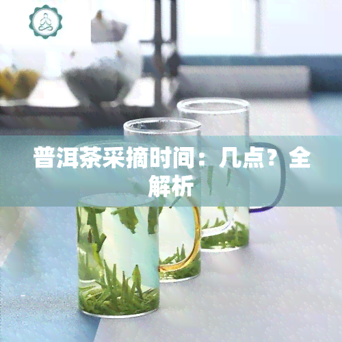 普洱茶采摘时间：几点？全解析