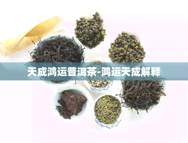 天成鸿运普洱茶-鸿运天成解释