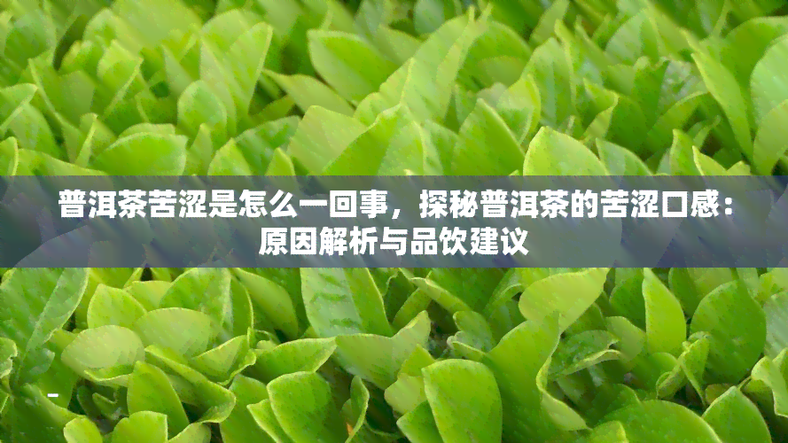 普洱茶苦涩是怎么一回事，探秘普洱茶的苦涩口感：原因解析与品饮建议