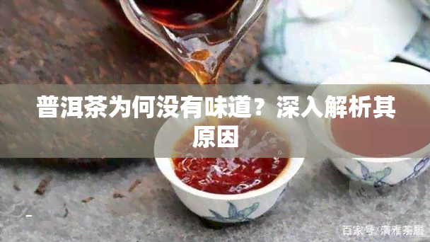 普洱茶为何没有味道？深入解析其原因