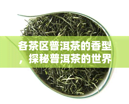 各茶区普洱茶的香型，探秘普洱茶的世界：揭秘各茶区独特的香型