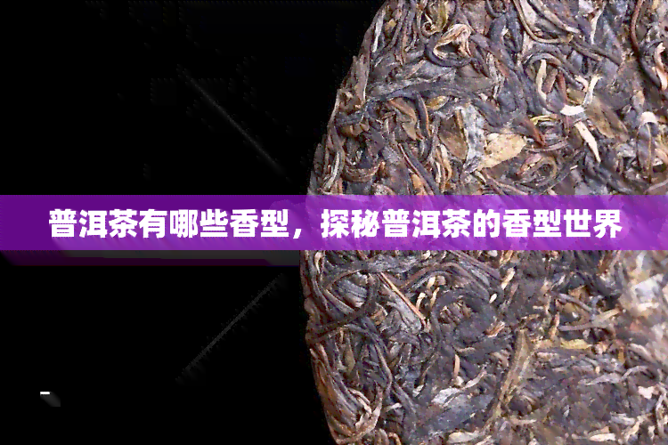 普洱茶有哪些香型，探秘普洱茶的香型世界