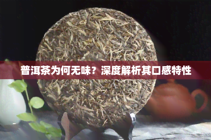 普洱茶为何无味？深度解析其口感特性