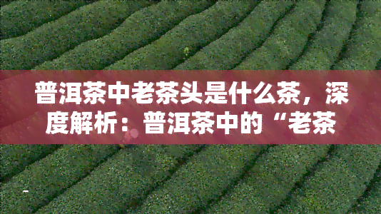 普洱茶中老茶头是什么茶，深度解析：普洱茶中的“老茶头”究竟是何茶？