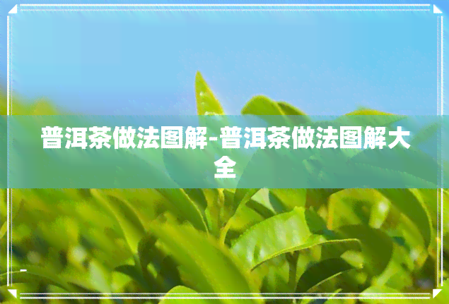 普洱茶做法图解-普洱茶做法图解大全