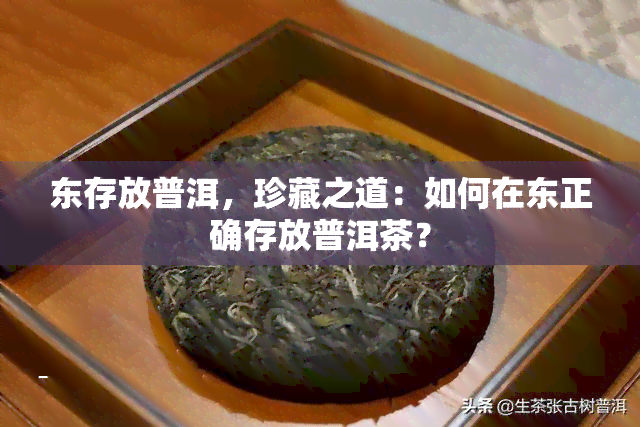 东存放普洱，珍藏之道：如何在东正确存放普洱茶？