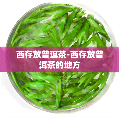 西存放普洱茶-西存放普洱茶的地方