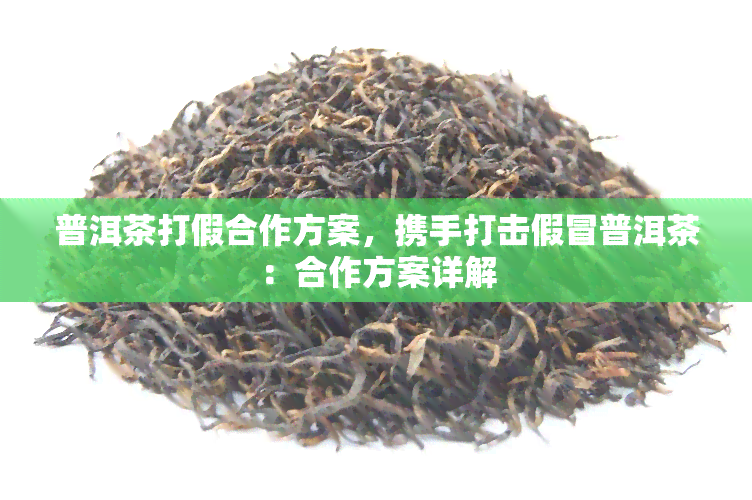 普洱茶打假合作方案，携手打击假冒普洱茶：合作方案详解