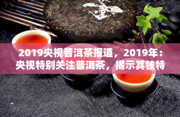 2019央视普洱茶报道，2019年：央视特别关注普洱茶，揭示其独特魅力与健益处