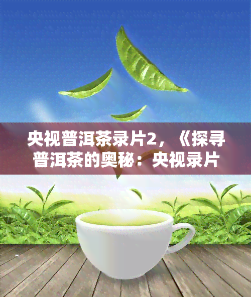 央视普洱茶录片2，《探寻普洱茶的奥秘：央视录片第二部》