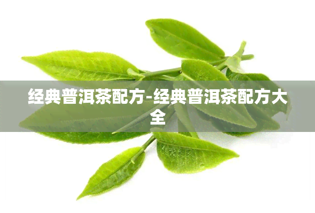 经典普洱茶配方-经典普洱茶配方大全