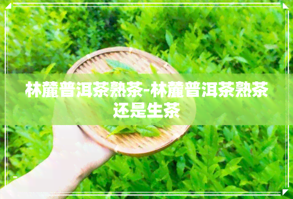 林麓普洱茶熟茶-林麓普洱茶熟茶还是生茶