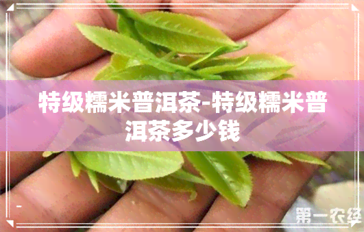 特级糯米普洱茶-特级糯米普洱茶多少钱