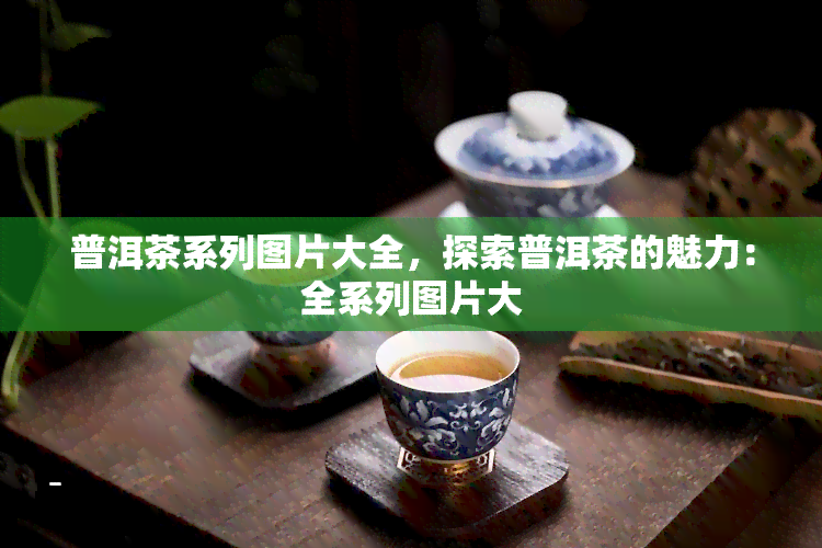 普洱茶系列图片大全，探索普洱茶的魅力：全系列图片大