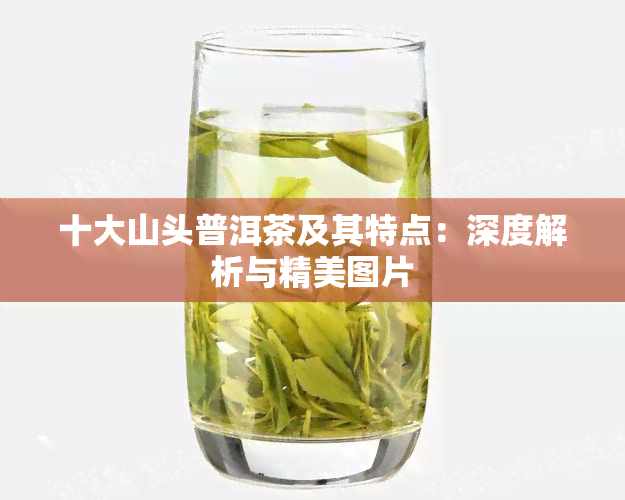 十大山头普洱茶及其特点：深度解析与精美图片