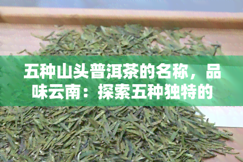 五种山头普洱茶的名称，品味云南：探索五种独特的山头普洱茶