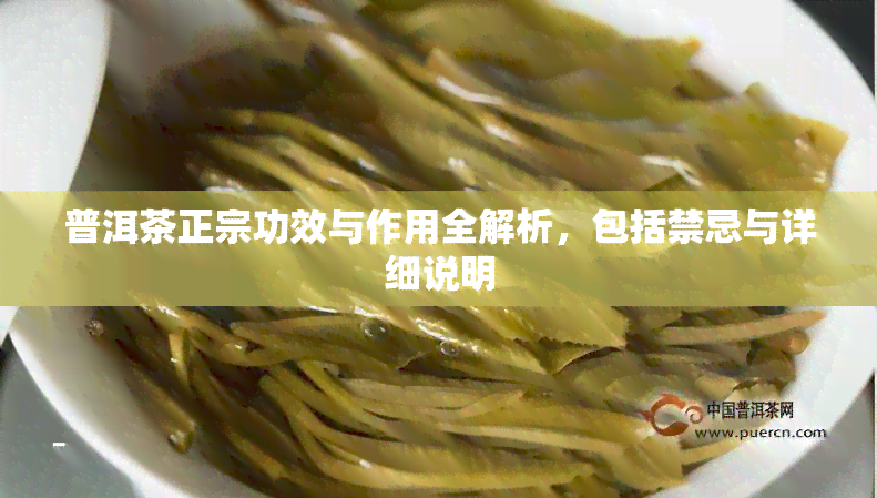 普洱茶正宗功效与作用全解析，包括禁忌与详细说明