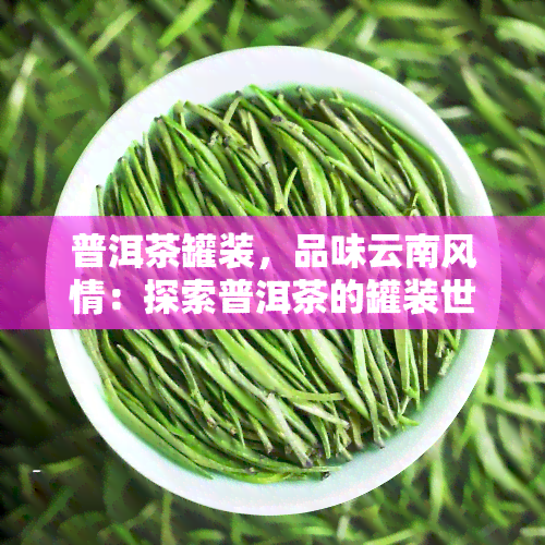 普洱茶罐装，品味云南风情：探索普洱茶的罐装世界