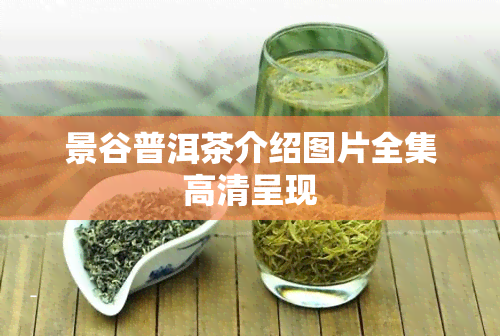 景谷普洱茶介绍图片全集高清呈现