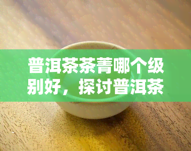 普洱茶茶菁哪个级别好，探讨普洱茶的级别之分：哪个级别的茶菁？