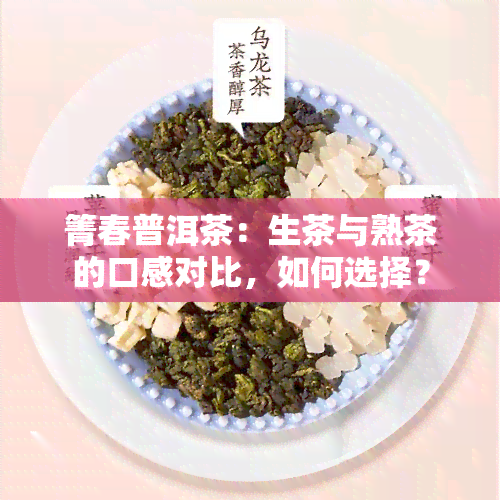 箐春普洱茶：生茶与熟茶的口感对比，如何选择？