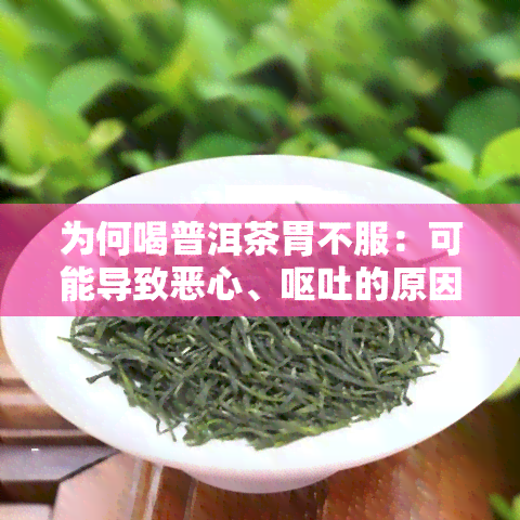 为何喝普洱茶胃不服：可能导致恶心、呕吐的原因分析