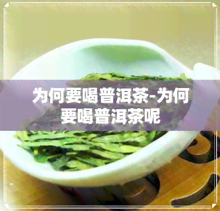 为何要喝普洱茶-为何要喝普洱茶呢