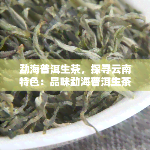 勐海普洱生茶，探寻云南特色：品味勐海普洱生茶的独特魅力