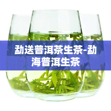 勐送普洱茶生茶-勐海普洱生茶